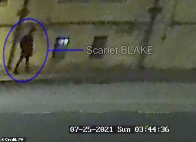 Blake, who denies murder, is on trial at Oxford Crown Court, where jurors have been shown CCTV footage of Carreno and Blake's movements around the city center hours before their deaths. .