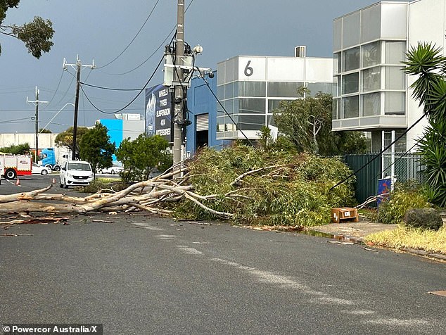 Melbourne and surrounding regions were hit by rain, hail and heavy rain on Tuesday afternoon, which uprooted trees.