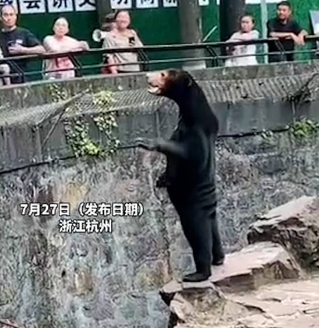 The Hangzhou Zoo said a person dressed as a bear reportedly collapsed in the scorching summer heat.