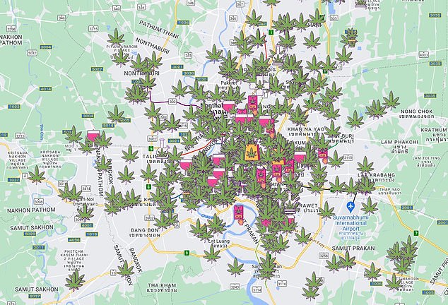 The above shows marijuana shops in Bangkok, Thailand.