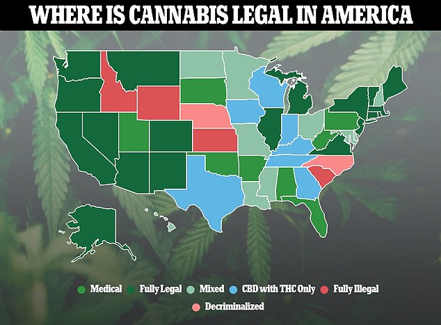 The above shows cannabis consumption in the states of the United States. Twenty-one states and DC have legalized it for recreational use in addition to medicinal use, while almost all now allow its use for medicinal purposes.