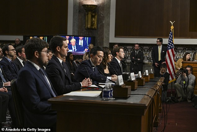 TikTok CEO Shou Zi Chew faced a barrage of questions about tech companies' failure to protect young social media users during a January hearing of the U.S. Senate Judiciary Committee. about big tech and the crisis of online child sexual exploitation.