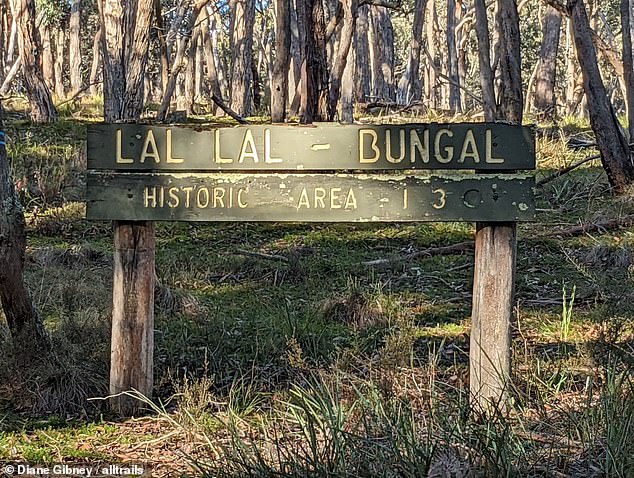 Lal Lal State Forest is just 20km from where missing mother Samantha Murphy went for a run on Sunday in nearby Woowookarung Regional Park.