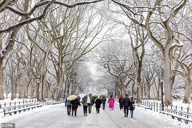 New York City experienced its heaviest snowstorm in two years on Tuesday, with Central Park accumulating 3.2 inches of snow as of 1 p.m.