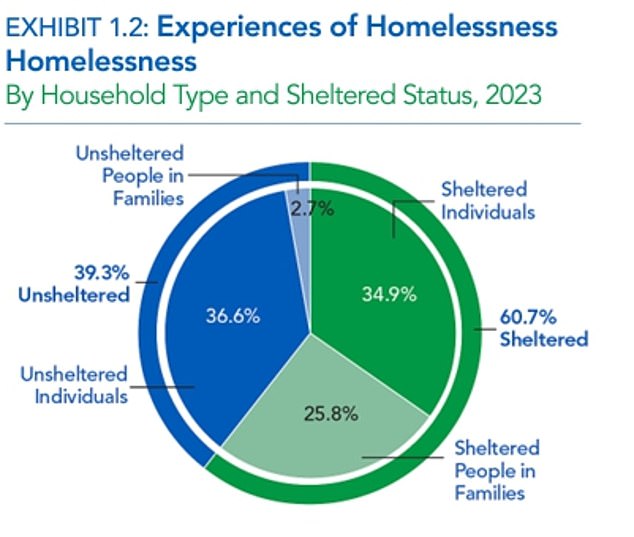 The above shows a breakdown of the homeless situation in the US.