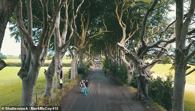 Northern Ireland had the cheapest cottage rentals for the summer holiday period across the UK in 2024. Pictured: Families enjoying Dark Hedges in Ballymoney, Northern Ireland
