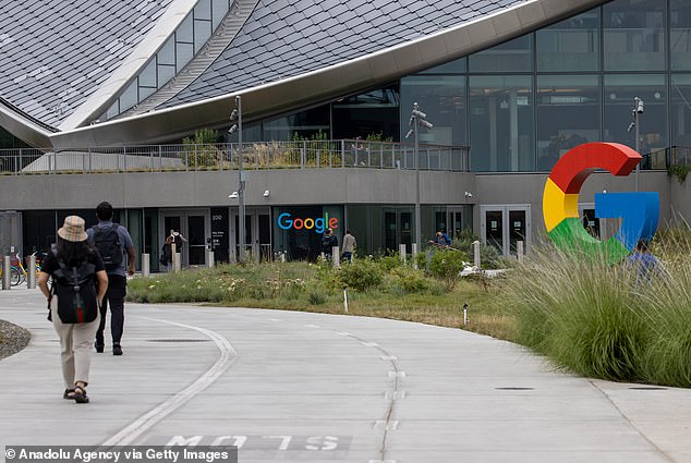Imagine if, for example, Google were a British-owned and British-based company, and if Silicon Valley were in the Thames Valley or the Trent Valley. Pictured: Google headquarters in Mountain View, California