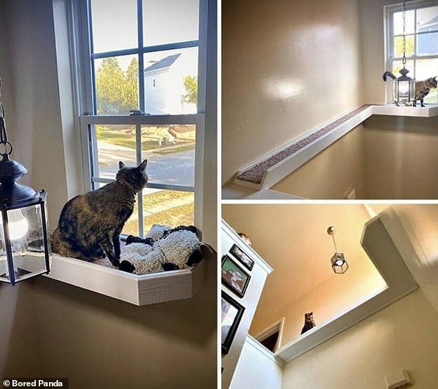 This house was designed without access to upper windows, so the family built a shelf so their cat could look out.