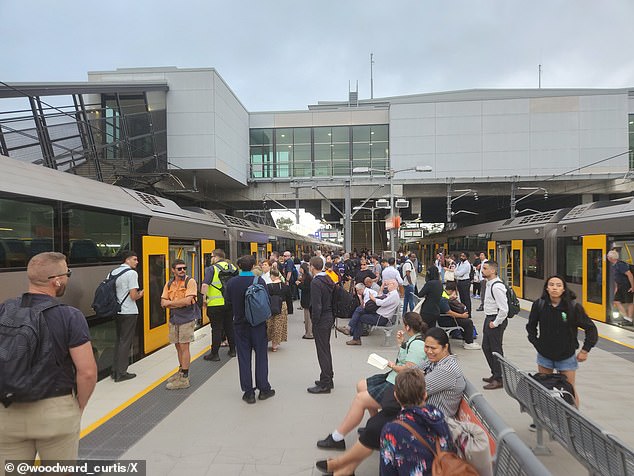 Trains are affected on the Western line, Northern line, Inner West and Leppington line, Blue Mountains line and Central Coast and Newcastle line.