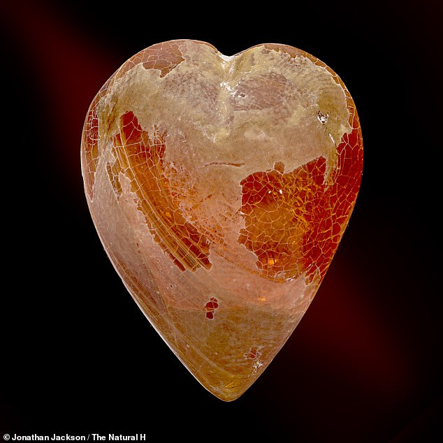 Also in the collection are several images of heart-shaped pieces of amber. Above: A piece of tree resin known as copal, which formed just a few million years ago and comes from southern Africa.