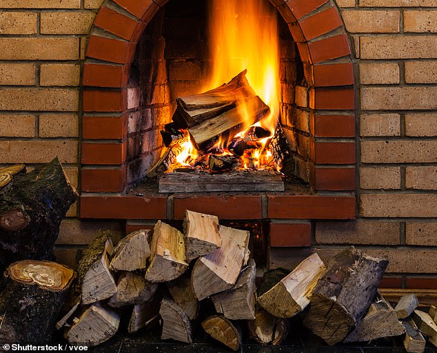 Figures released by the Department of Environment show that 22 per cent of the most harmful type of particulate pollution now comes from burning wood, compared to 18 per cent from roads.