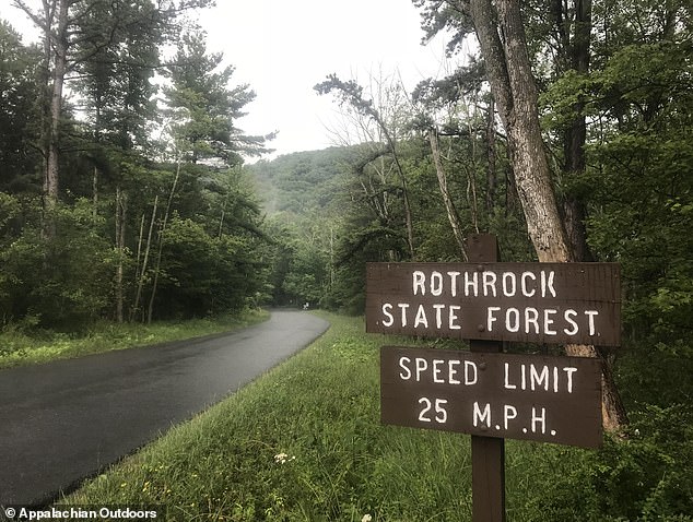 The Penn State professor was allegedly caught in the act with his pet collie on a park surveillance camera in Rothrock State Forest in Pennsylvania (pictured)