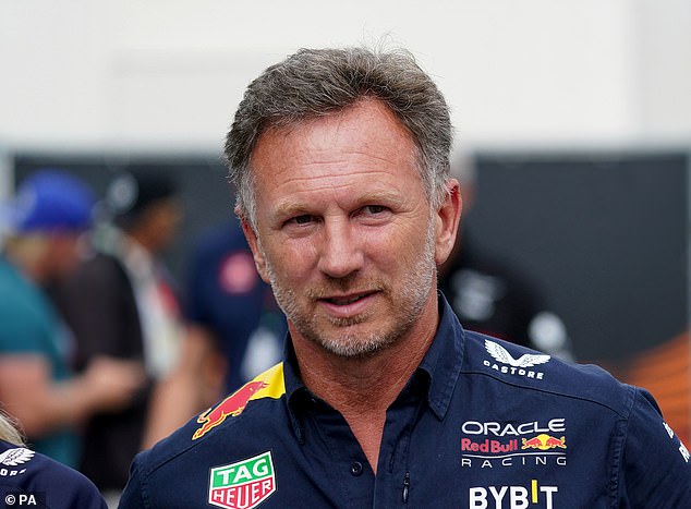 The Red Bull team principal has denied the accusations of 