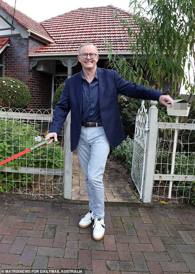 Mr Albanese is pictured leaving his home in Marrickville for a walk with his cavoodle Toto.