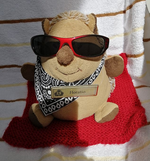 The avid cruisers have a social media account documenting their trips with their toy hedgehog Horatio.