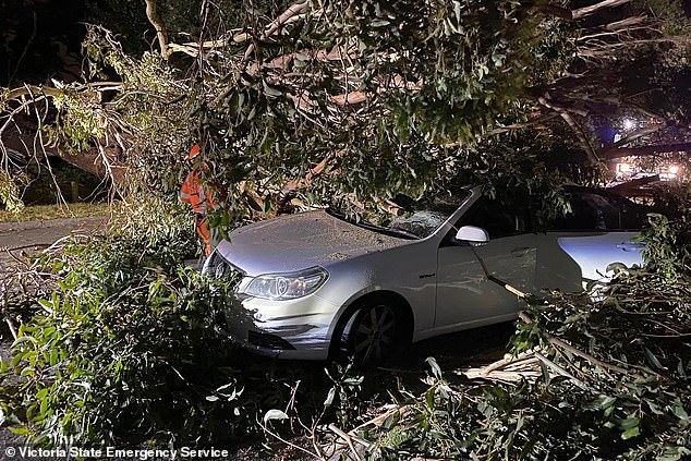 Devastating storms in eastern Victoria left up to 500,000 homes without power this week
