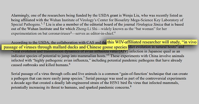The research involves infecting ducks and geese with bird flu viruses in gain-of-function experiments to make the diseases more transmissible and infectious.