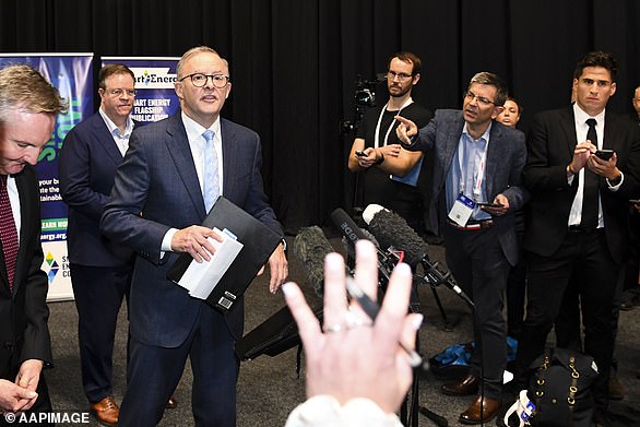 1708076834 398 Labor leader Anthony Albanese rallies troops with Annastacia Palaszczuk days