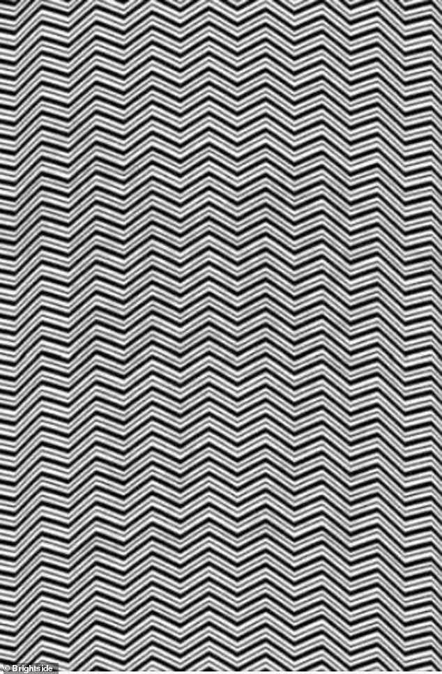 This optical illusion can be deciphered if you have super brain power.  Are you among the two percent who can find the animal hidden in the monochrome image in just eight seconds?