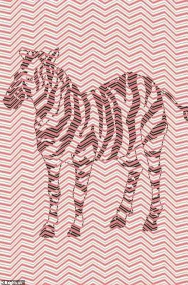 It's a ZEBRA! If you didn't find it in such a short time, don't worry. But, if you want to try again, try focusing on the center of the image.