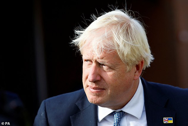 Sunak's allies rejected Jacob Rees-Mogg's suggestion that Boris Johnson (pictured) could take the job.