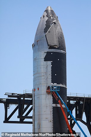 SpaceX injuries were six times higher than the space industry average, Reuters journalists found. Above, SpaceX's Starship 24 rocket near Brownsville, Texas, on May 31, 2022