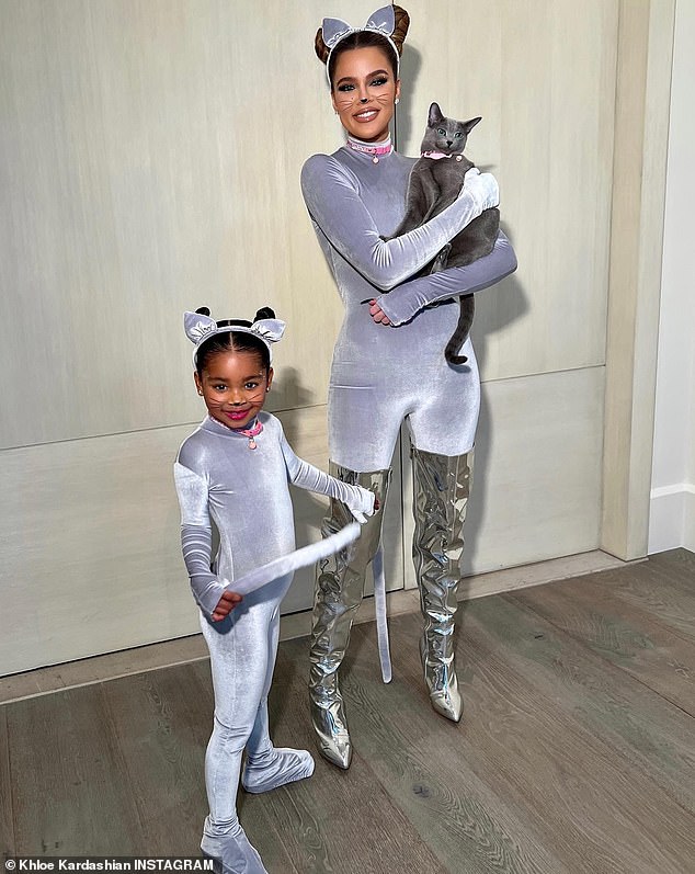 Gray Kitty was the inspiration for mother and daughter's 2022 Halloween costumes