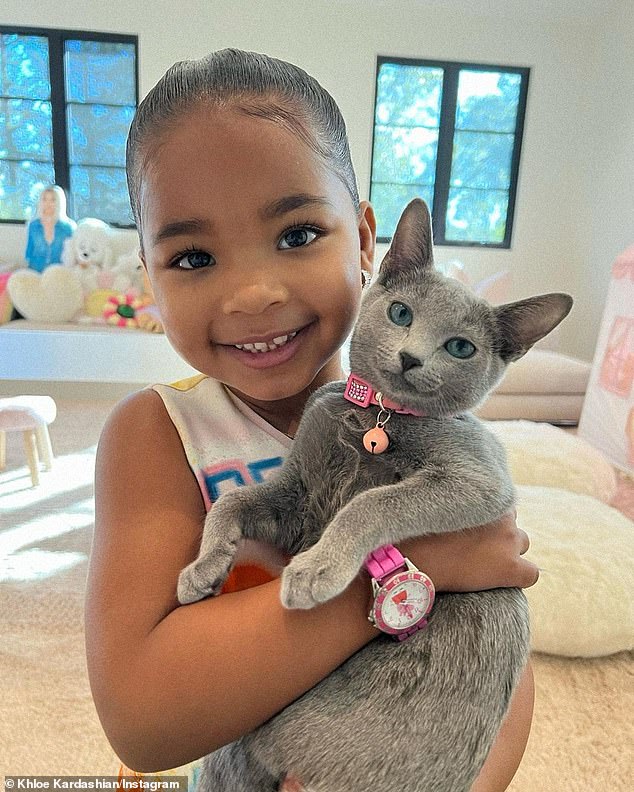 Others complimented the cat writing: 'OMG your cat doesn't look real and 'That cat is so cute, he looks animated' (pictured with Khloe's daughter True, five).