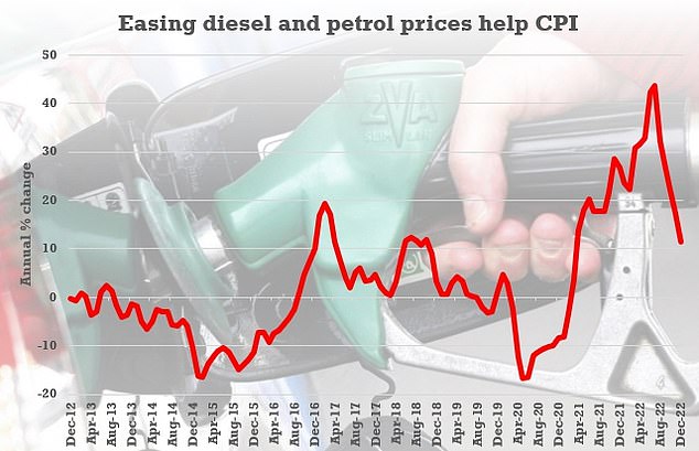 Falling fuel prices were one of the main factors contributing to the decline in overall CPI in December.