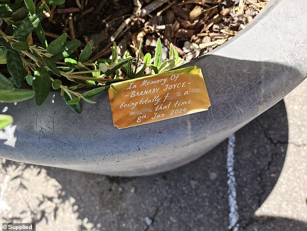 A fake plaque (pictured) appeared at the spot where Barnaby Joyce fell last Wednesday night.