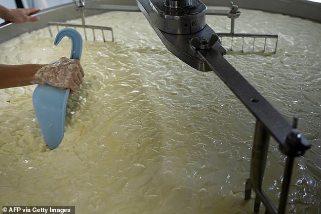 A cheesemaker cuts curds in a vat during production (file photo)