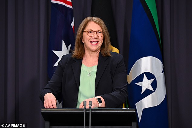 Infrastructure Minister Catherine King insisted the new plan will not affect the price or availability of combustion vehicles, but experts still disagree.