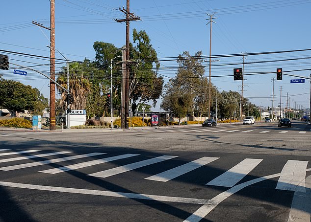 Grossman claimed the accident was caused by a poorly lit and poorly marked crosswalk shown above.
