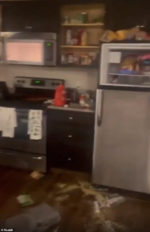 The chaotic 26-second video, posted on the r/PublicFreakout subreddit, showed an angry woman walking through an apartment, which was completely trashed.