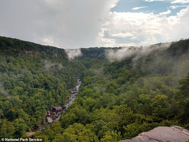 Isbell's remains were found at the foot of a cliff in the Little River Canyon Nature Reserve near Fort Payne, Alabama.