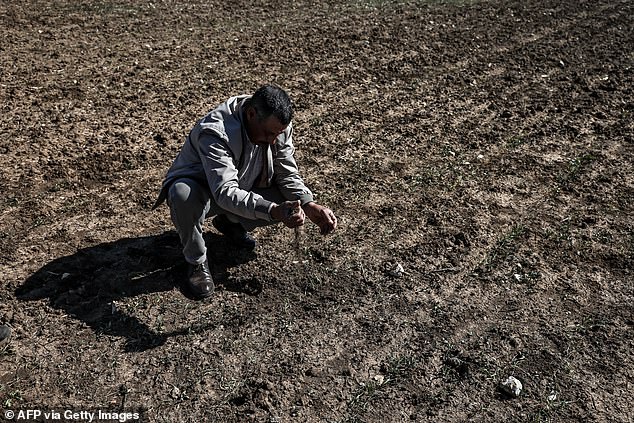 MOROCCO: Farmers in countries around the world are experiencing huge periods of drought. In Morocco, 12 weather stations reached temperatures above 33.9 degrees Celsius, five degrees higher than the average for July (in February).