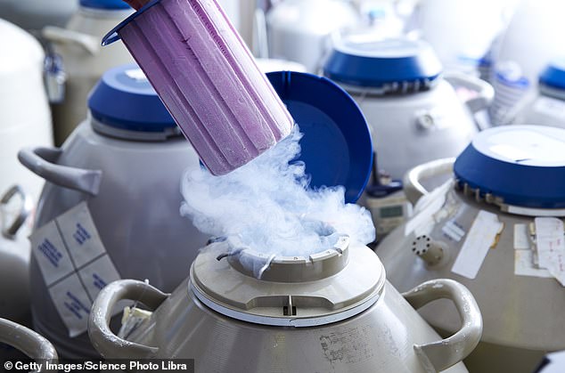 A tube of eggs can be kept in cryogenic storage in preparation for in vitro fertilization (IVF).