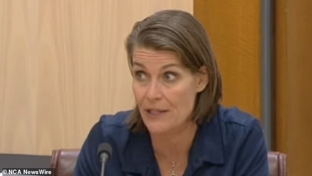 New South Wales senator and Nationals deputy leader Perin Davey was slurring her words during a budget estimates hearing.  Image: Supplied