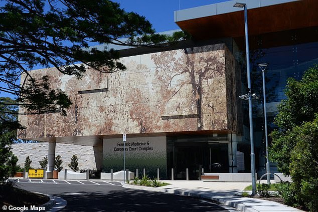 An inquest into seven fatal dog attacks that occurred in New South Wales between 2019 and 2021 is underway at the New South Wales Coroner's Court in western Sydney (above).