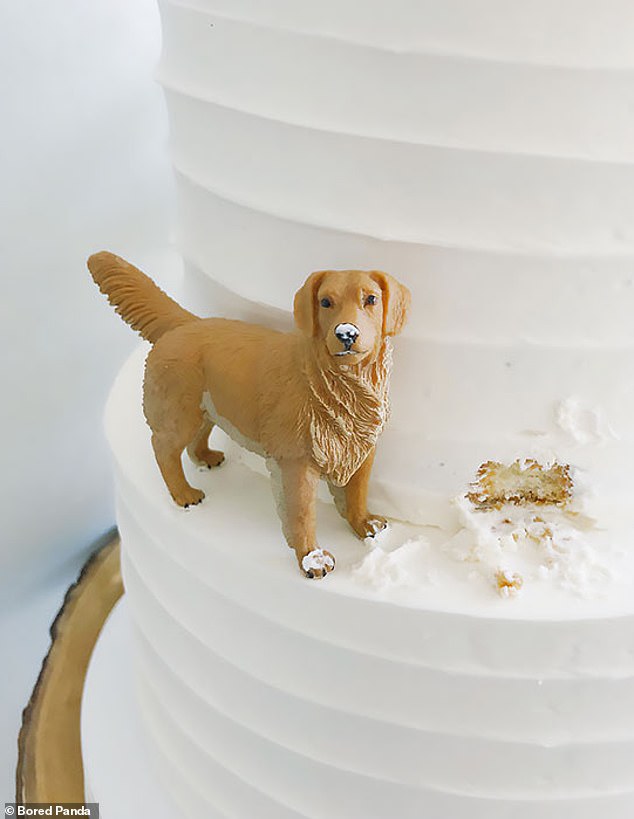 Who could be mad at a sweet puppy for taking a bite of this cake?  A talented baker and artist added a mischievous golden retriever to his cake