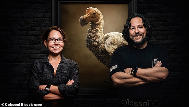 However, the expert leading the dodo extinction project, paleogeneticist Beth Shapiro (pictured left), warned that it would not be easy to recreate a 