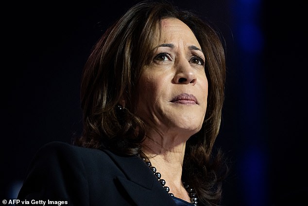 Vice President Kamala Harris speaks during a campaign rally