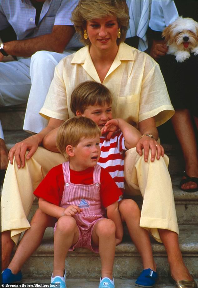 Pictured: Prince Harry, Prince William and their mother, Princess Diana, photographed in Mallorca, Spain, in 1987.