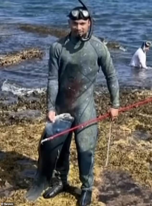 It comes after numerous incidents in which fishermen harpooned 'sea plowmen' and left local communities in an uproar (pictured, a man posing for a photo after killing Gus).