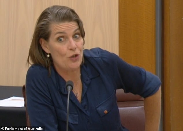 Senator Davey (pictured) made headlines when video emerged of her making a rambling statement at a late-night committee meeting, then admitting she had had a couple of glasses of red wine beforehand.