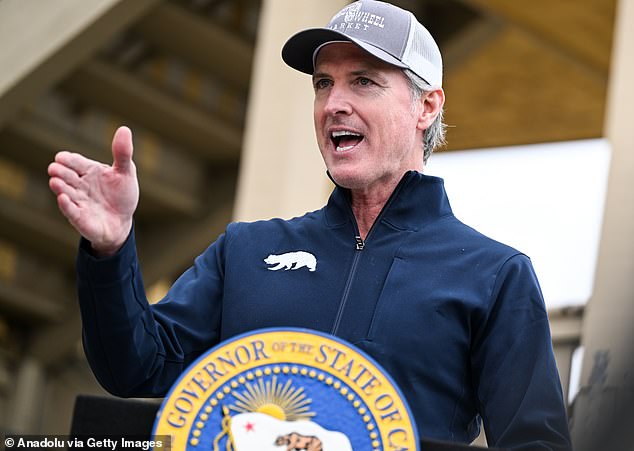 Some have floated California Gov. Gavin Newsom as a possible replacement for Biden on the November ticket, although he would have to beat out the more obvious pick of Vice President Kamala Harris.