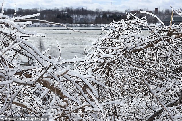 Frozen branches in Niagara Falls. The falls froze in 1848 due to freezing temperatures and a buildup of glaciers that stopped the flow of water. They have never frozen since, according to Niagara Parks records.