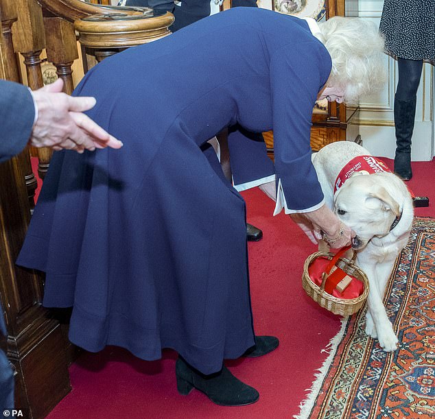 During the reception at Clarence House, Camilla offered a canine a small edible treat from a basket.