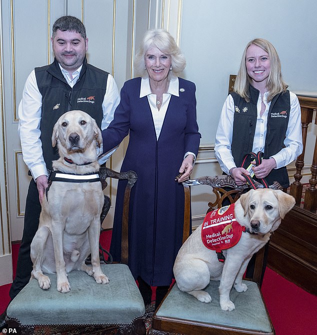 Camilla smiled with representatives from the MedicalDetection Dogs charity and two detection dogs called Storm (left) and Maggie (right).