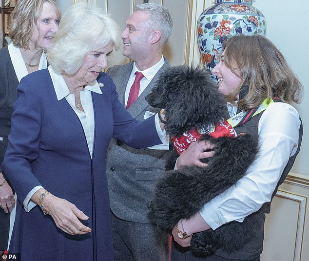 Wearing a mid-length navy blue dress, Her Majesty greeted several puppies that were still in training.